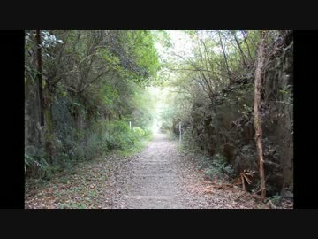 JR福知山線廃線跡を歩く