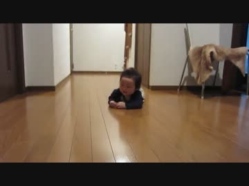 ズリハイ！ズリハイ！