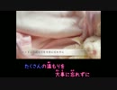 【ニコカラ】 帰星 (Off Vocal, ハモリ無)