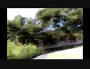 【車載】妙見山野間峠上り【バイク】