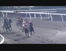 第8回黒潮マイルチャンピオンシップ レース部分