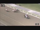 2012年11月4日川崎競馬8R 神楽月（かぐらづき）特別(C2-二) トーセンサミット