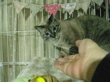 ジャンくんのあごに触ったら逃げられた