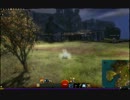 GW2 すいすいー
