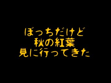 ぼっちだけど秋の紅葉見に行ってきた
