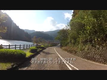 【広島県】紅葉狩りにいこうよ！【三段峡】