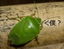 【実況】マリオのペラッペラなストーリーを実況してみた　part3