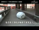 【絶対顎髭領域】100回記念 細井聡司のルーツを探る京都の旅《完結篇》
