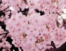 忙しい人向け　３月９日
