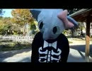 【グンマー民で】ハッピー　シンセサイザ踊ってみた【吹っ切れた】