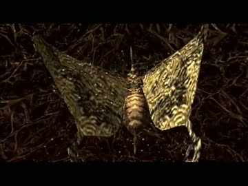 【DMC2 HD】本当にクソゲーなのか最高難易度で検証実況Ⅱpart6