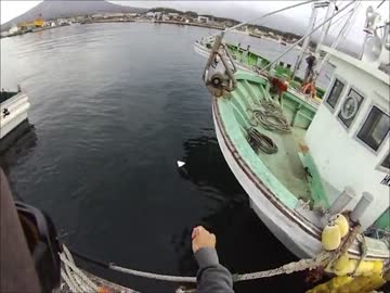 オレ的ルアー釣り　ワームでアイナメ【海釣り】