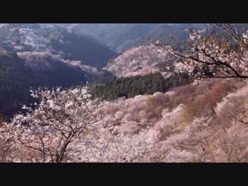 【NNI】和風ハードコア　「義経」