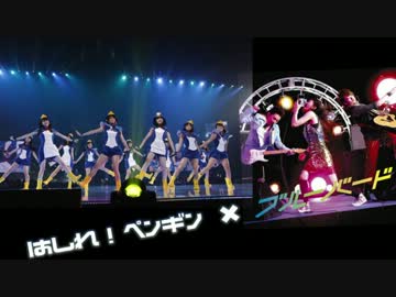 【マッシュアップ】AKB48 × いきものがかり『走れ！ブルーバード』