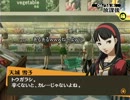 【P４】コミュ障改善計画ペルソナ４完二編１３【実況】