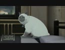 【TOX2】優樹のテイルズオブエクシリア２を実況プレイpart2