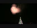 TDS スターブライト・クリスマス12年11月08日