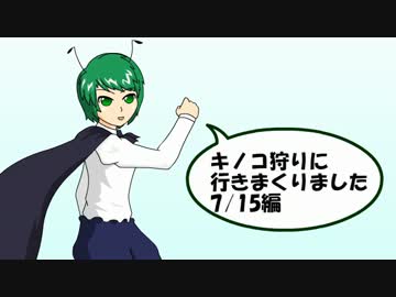 【東方キノコ講座番外編】キノコ狩りに行きまくりました　7/15編