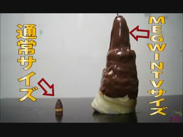 MEGWIN 料理回まとめ ４