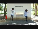 【こちゃねこ】ドコノコキノコを踊ｒｙ【やらかした】