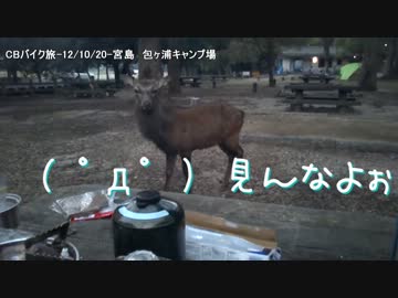 CBバイク旅-本格的キャンプ料理を作る？_調理完成de野生動物襲来-