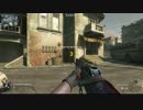 【PC】なるべくSRで頑張りたかった… SG練習記1日目part13【CoD：BO】
