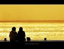 尾崎 豊様のＩ　ＬＯＶＥ　ＹＯＵを歌ってみた[べんがる]