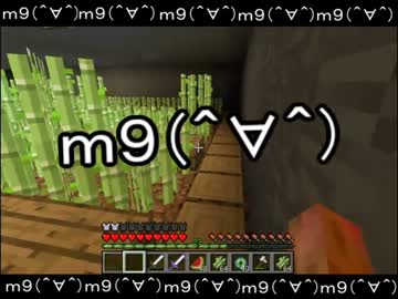 【Minecraft】もう俺、村人でいいや～竜討伐編～【実況】　６日目