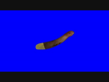 １１月１１日は〇〇〇〇の日！