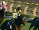 競馬 バブルガムフェロー 全レースダイジェスト