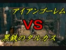 【実況】DARK SOULS解説実況第８１回【２周目観光旅行編】