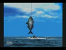 【実況】海がないなら、海のぬし釣りやればいいじゃない！part2