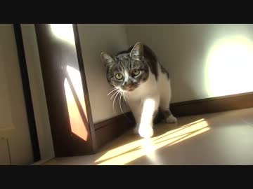 久しぶりのカメラに戸惑うーちゃん