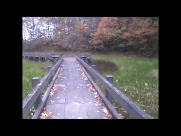 紅葉を見に行こうよう！地元の自然公園を散歩してみた。【FIN生徒会】