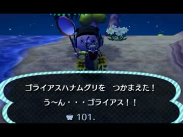 【とび森】時給１５万ベル以上！島での昆虫採集をスムーズに進める方法