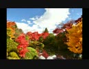 日光山輪王寺 逍遥園の紅葉 2012