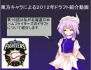 東方キャラによるドラフト紹介動画「第10回　日ハム　担当：レティ」