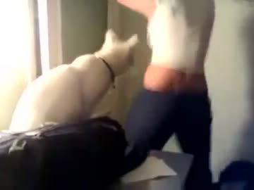 猫×sexy dance