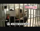 こんなに近くで会える！動物園・水族館の裏側ツアー