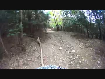 滋賀県南部の林道　その１