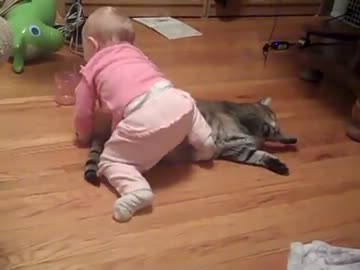 猫×赤ちゃん