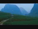 Vangelis - The Tao Of Love