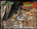 モンスズメバチVSオオスズメバチ