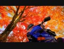 【小排気量でツーリング部】　2012年紅葉ツーリング　【小粒ツアラー】