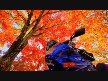 【小排気量でツーリング部】　2012年紅葉ツーリング　【小粒ツアラー】