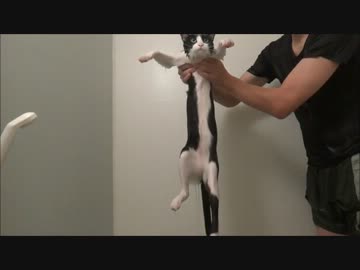 お風呂で荒ぶる猫のポーズ！？