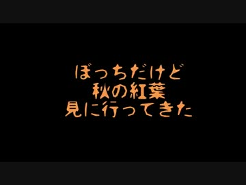 ぼっちだけど秋の紅葉見に行ってきた Part.2