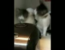 更に炊飯器と戦う者達