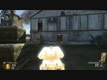 F41THのCOD:BO2-part2.sig556