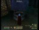 TES4：ReplayFile029
